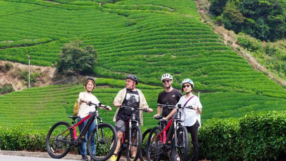 Cycle kasagi private electric mountain bike tour experience (half-day/full-day) - choose between two experience options