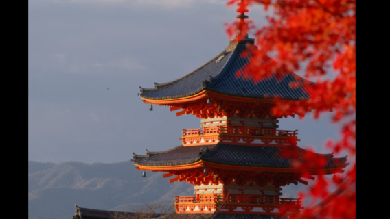 京都 金閣寺＋祇園＋花見小路＋清水寺＋三年坂＋伏見稻荷＋中文