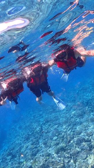 [Naha Kerama Half-day Tour] Boat snorkeling with pick-up service│English Support
