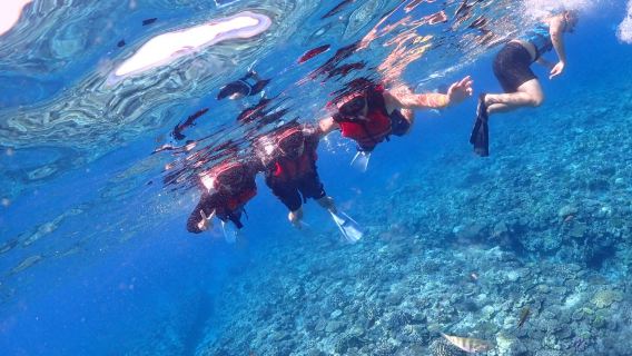 [Z Naha / Pół dnia] Wycieczka ze snorkelingiem łodzią po archipelagu Kerama │ Transfer z/do centrum Naha wliczony