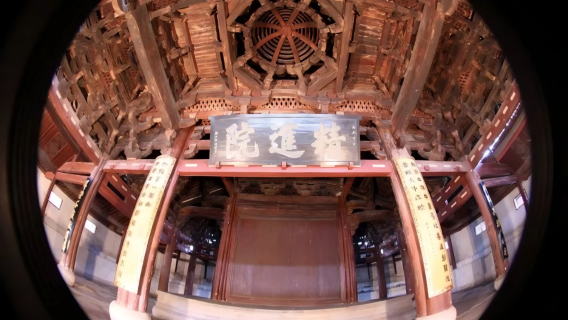 寧波保國寺古建築博物館【人工講解丨可選時長 場次】