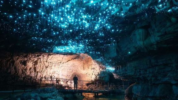 Lawatan Sehari ke Tempat Rahsia Kunang-Kunang di Gunung Tianbao Lin, Gold Coast (tidak termasuk tiket masuk)