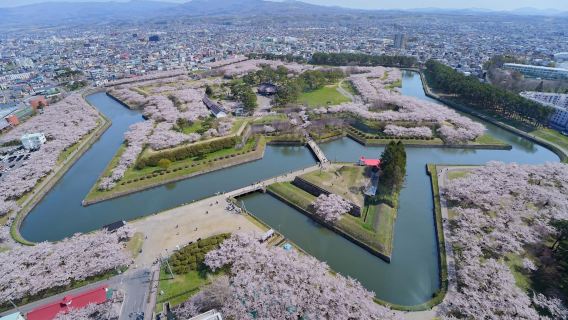 Lawatan sehari di Hakodate | Melihat monyet di taman botani tropika bandar Hakodate, tidak termasuk tiket