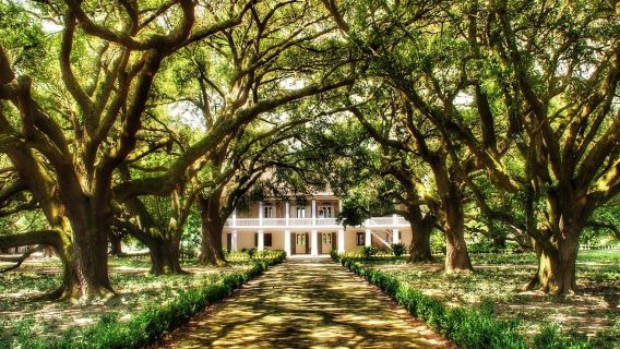 New Orleans: Swamp Boat Ride & Whitney Plantation Tour