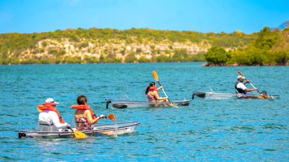 Antigua: Clear Kayak Mangrove & Reef Snorkel Tour + Ride