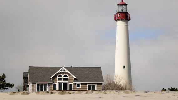 Cape May: 2-Hour Dolphin Watching Cruise