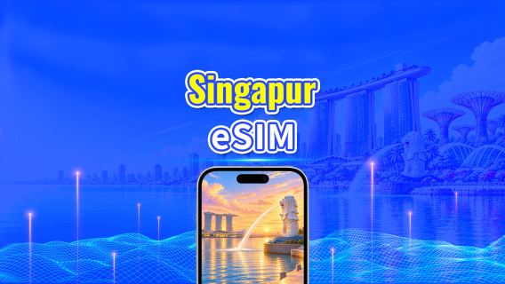 Singapur 4G eSIM | Duales Netz | Tägliches/Gesamt-Datenpaket | 1–30 Tage | 24-Stunden-Abrechnung | QR-Code