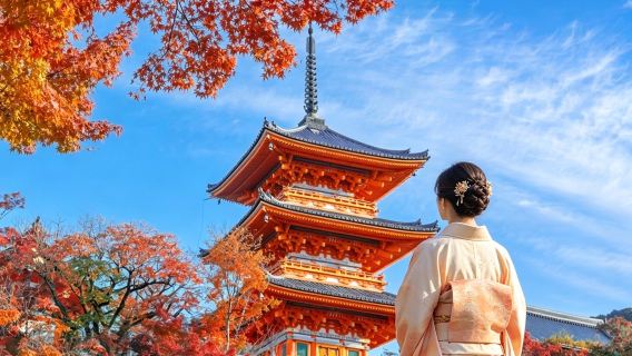 Excursion d'une journée à Kyoto au Japon : temple Kiyomizu-dera / Nara / Fushimi Inari [Petit groupe de 9 personnes, service de chauffeur-guide]