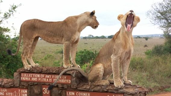 NairobiTours