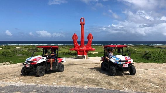 Tour privato dell'isola in UTV ad Aruba