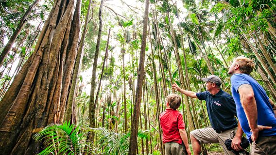 Gold CoastTours