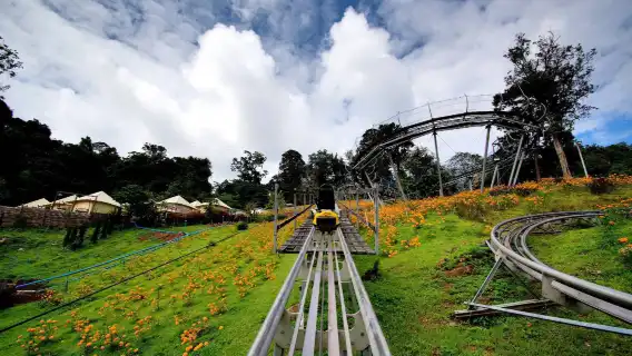 Chiang Mai Pongyang Jungle Coaster Zipline Experience
