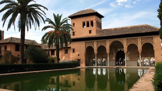 Full Alhambra guided tour in private