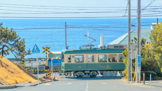 Kamakura Day Tour in Japan [Kamakura High School Front + Enoshima + Tsurugaoka Hachimangu + Enoshima Electric Railway Experience]