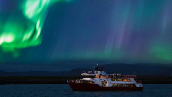 แสงเหนือ: ทัวร์เรือ 2 ชั่วโมง