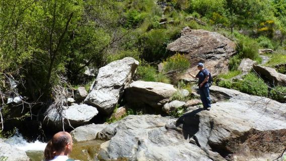 Sierra Nevada: Visita guiada desde Granada
