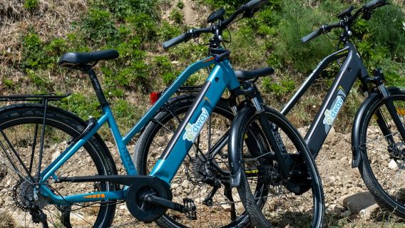 Florence: Half-Day Guided E-bike Tour + Lunch