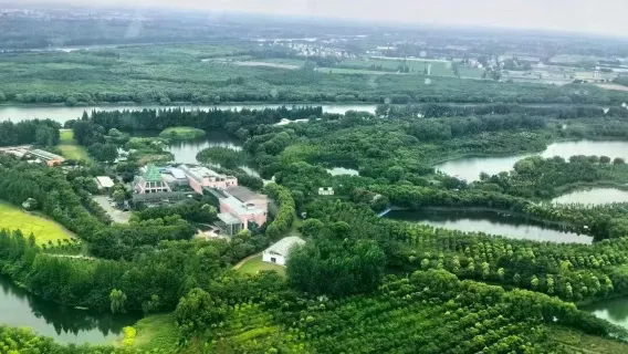 【上海直升機】上海航線直升機體驗/俯瞰太陽島/可體驗直升機自駕（教練一帶一）