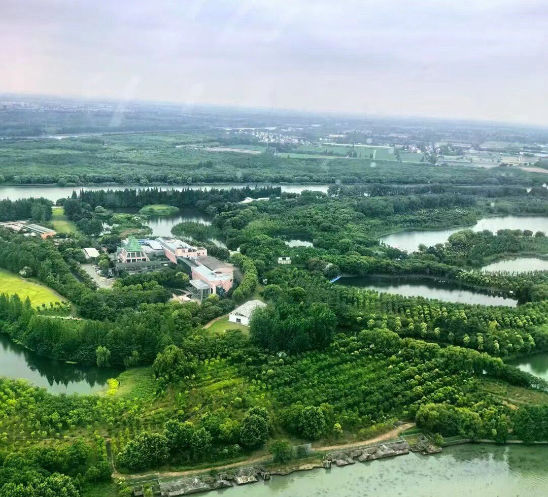 【上海直升機】上海航線直升機體驗/俯瞰太陽島/可體驗直升機自駕（教練一帶一）