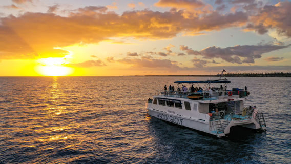 The Big Island (Hawaii island)Experiences