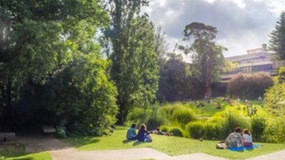 Basic- Hop On Hop Off