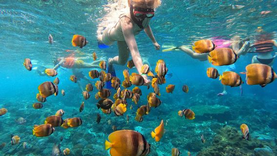 Snorkeling a Manta Point con GoPro in 2 spot a Nusa Penida