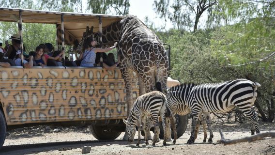 Out of Africa Wildlife Park: Entry Ticket