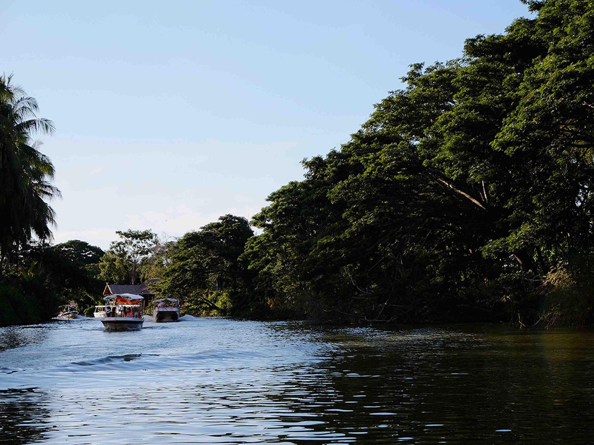 Nanamun Mangrove & Fireflies River Cruise | Kota Kinabalu, Sabah
