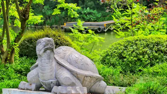 【今龍細說】常州導遊龍城急單找我！資深文化講者青果巷天寧寺鹽城遺址常州博物館週邊深度導覽講解