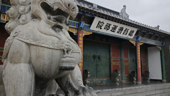 YanchengTours