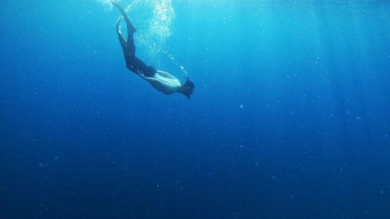 8-Hour Semporna Island Exploration & Scuba Diving Experience with Big John Scuba in Malaysia