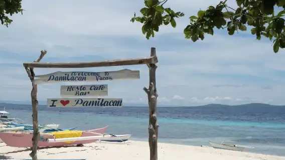 Bohol Island: Dolphin Watching + Pamalican Island Snorkeling 1-day Tour|round-trip transfer