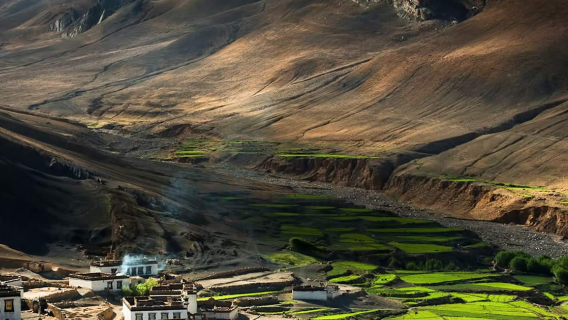 Sơn Nam dịch vụ thuê xe có tài xế, hướng dẫn viên địa phương, phiên dịch, đón tiễn, du lịch, triển lãm, khảo sát thương mại, hỗ trợ khám chữa bệnh