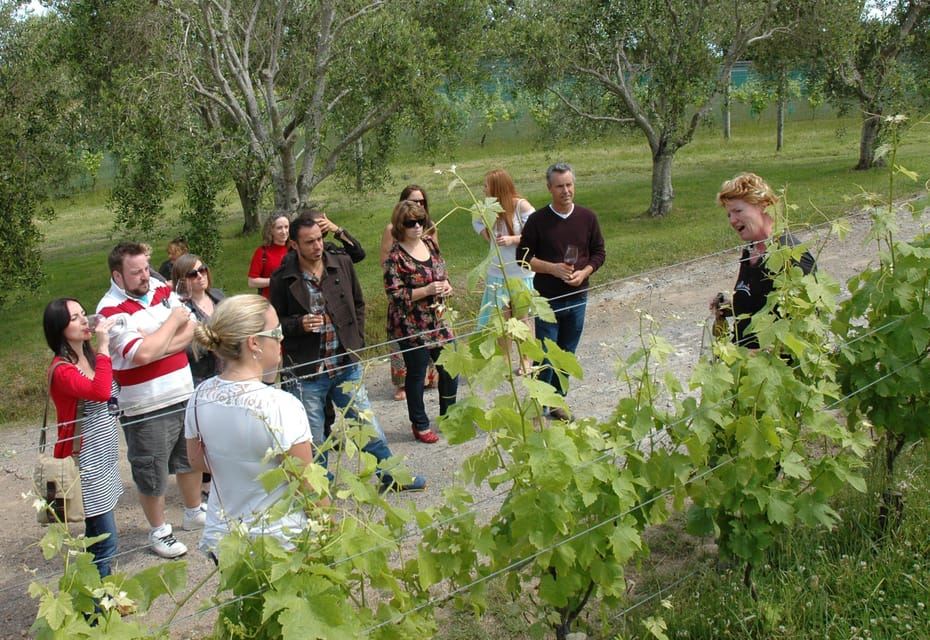 Waiheke Island: The Essence of Waiheke Wine Tour