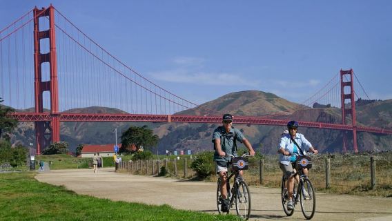 San Francisco: Tour tham quan Muir Woods & Sausalito kèm tùy chọn phà