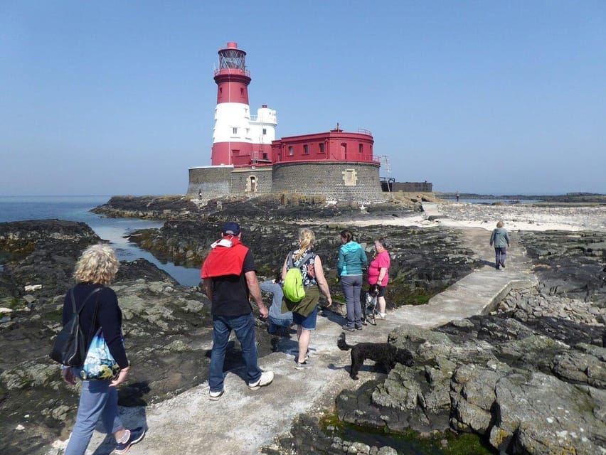 錫豪西斯：Longstone Lighthouse 與法恩群島之旅