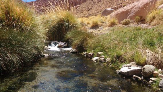 San Pedro de Atacama: Puritama Spa