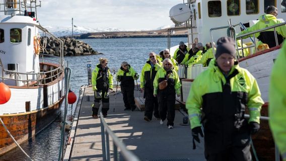 Akureyri: Whale Watching Tour with Transfer from Port