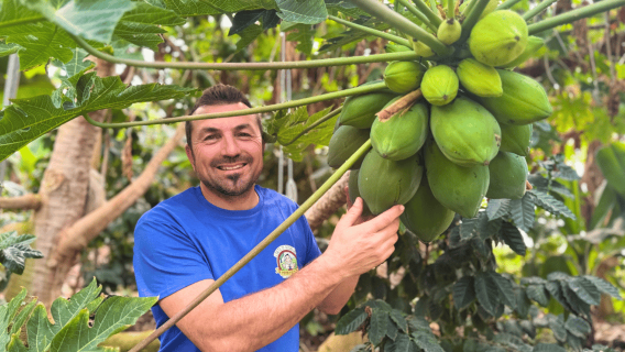Terrasini: Cucina biologica con visita all'orto e pranzo