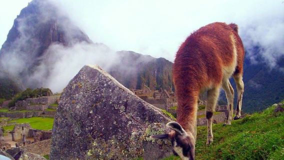 UrubambaTours