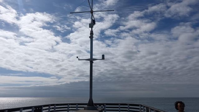 Экскурсия по побережью Порт-Элизабет с гидом