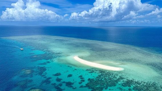 Outer Reef Mackay Cay Sail & Snorkel Adventure from Port Douglas