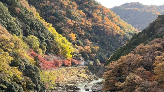 Osaka/Kioto: Todaiji, ciervos de Nara, Wakakusayama y Arashiyama