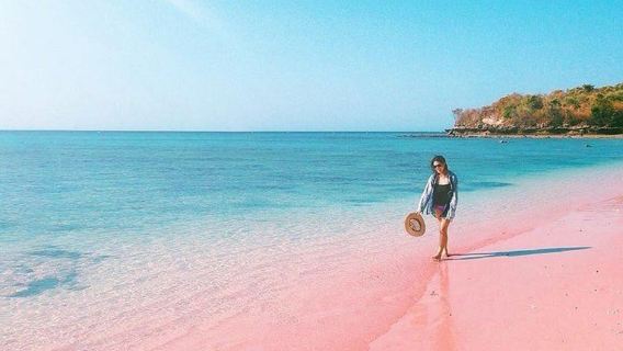 Pink Beach Lombok: A Hidden Paradise One Day Private Tour