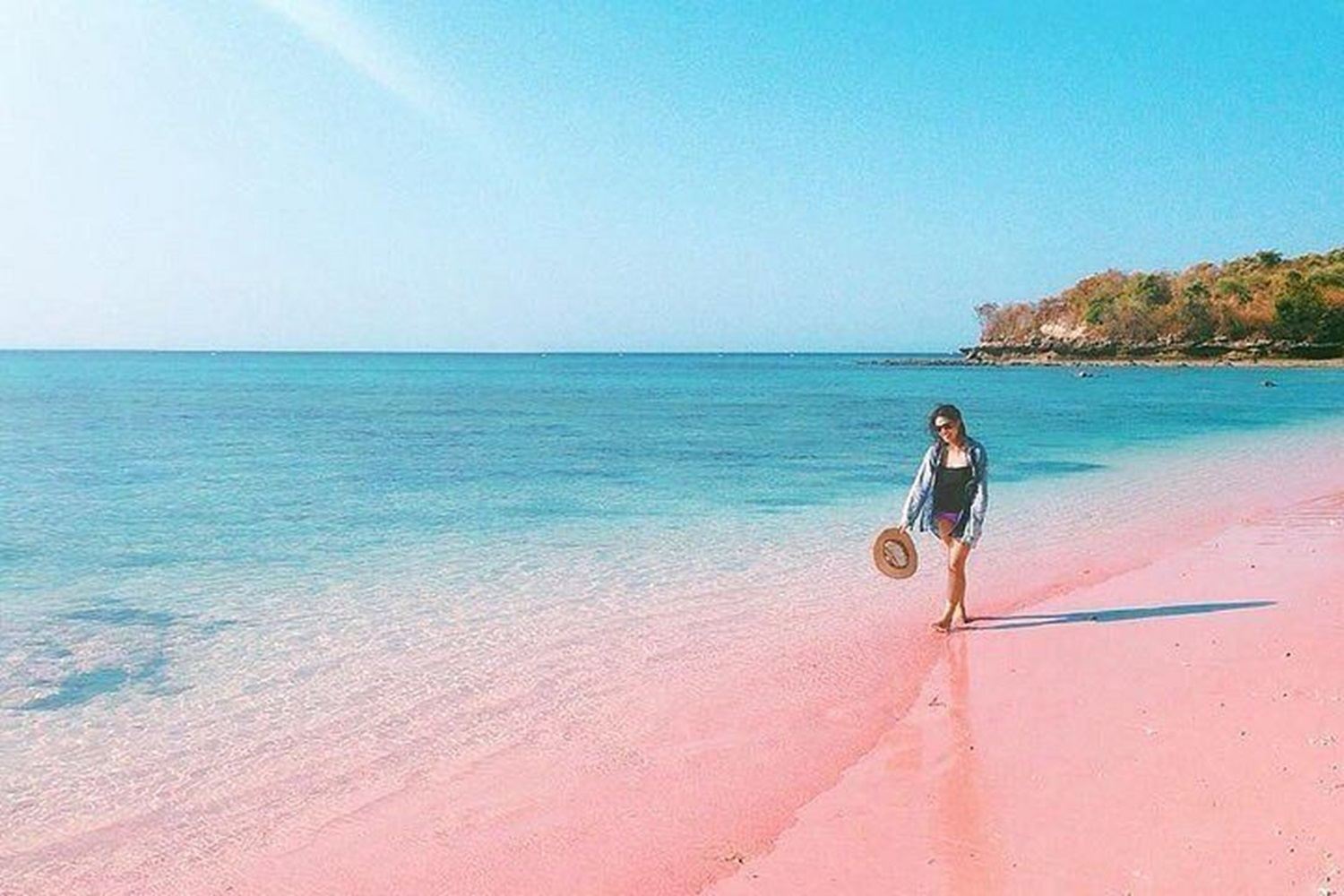 Pink Beach Lombok: A Hidden Paradise One Day Private Tour