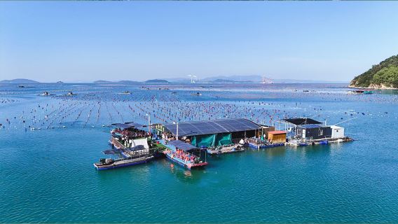 【私家團·南澳島一日遊·彩虹海出海】環島遊+品魚排海鮮大餐