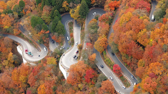 【小團接駁贈纜車】日光賞楓一日遊：東照宮+中禪寺湖+華嚴瀑布
