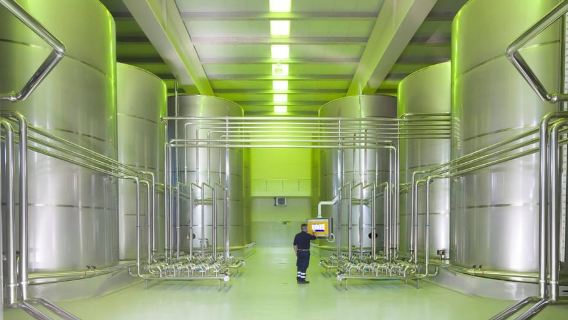 Jaén Discover the Secrets of Olive Oil: Tour & Tasting