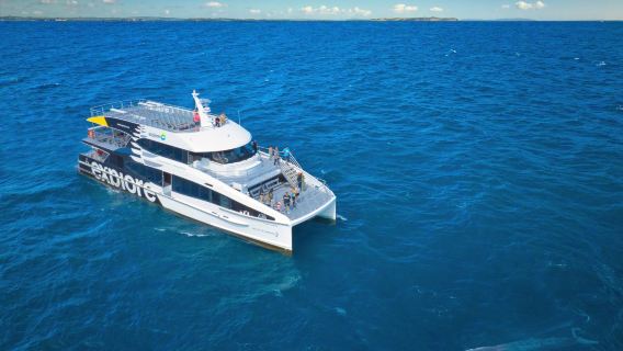 Crociera per avvistare balene, delfini e isole ad Auckland - Tīkapa Moana