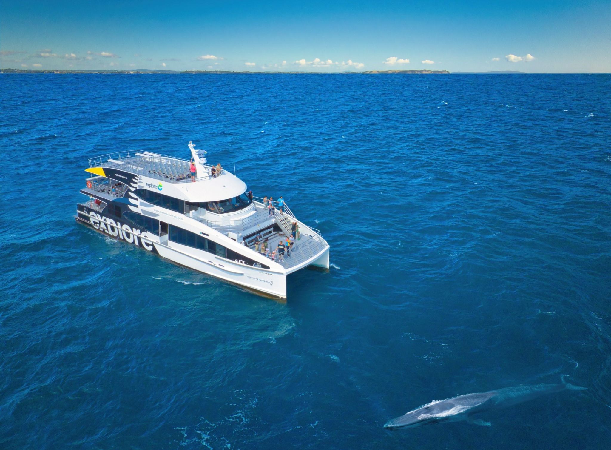 Tikapa Moana Whale, Dolphin, and Island Cruise in Auckland